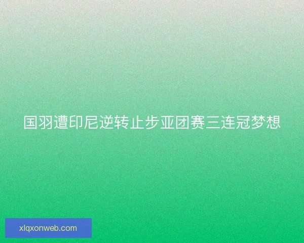 国羽遭印尼逆转止步亚团赛三连冠梦想