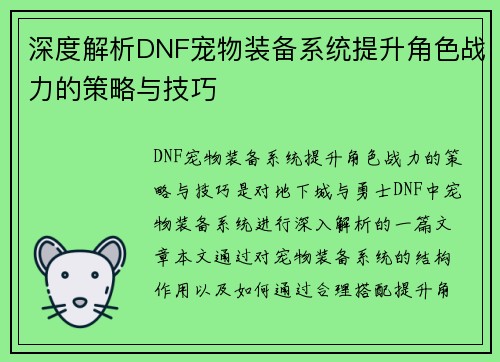 深度解析DNF宠物装备系统提升角色战力的策略与技巧
